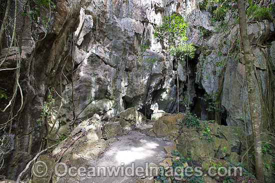 Capricorn Caves, showing the entrance to a large limestone cavern. Situated near Rockhampton, Queensland, Australia Photo - Gary Bell Capricorn Caves, showing the entrance to a large limestone cavern. Situated near Rockhampton, Queensland, Australia Photo - Gary Bell