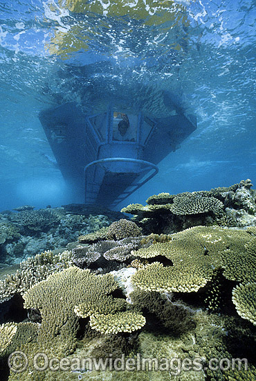 People viewing Coral from Semi-submersible boat. Heron Island, Great Barrier Reef, Queensland, Australia Photo - Gary Bell People viewing Coral from Semi-submersible boat. Heron Island, Great Barrier Reef, Queensland, Australia Photo - Gary Bell