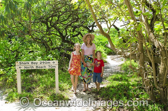 Tourists in Forest on Heron Island photo