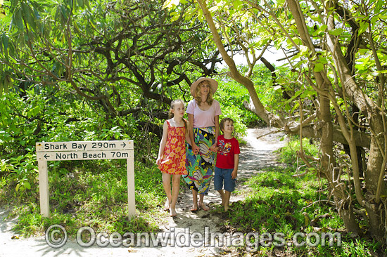 Tourists in Forest on Heron Island photo Tourists in Forest on Heron Island photo