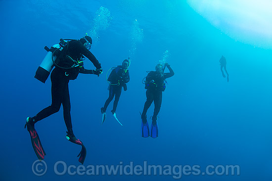 Scuba divers doing a safety decompression safety stop close to the surface after a deep dive. Photo taken at Heron Island, Great Barrier Reef, Queensland, Australia. Photo - Gary Bell Scuba divers doing a safety decompression safety stop close to the surface after a deep dive. Photo taken at Heron Island, Great Barrier Reef, Queensland, Australia. Photo - Gary Bell