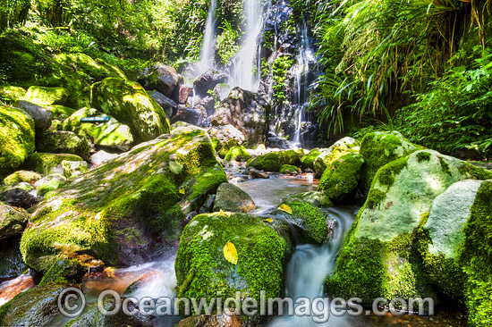 Chalan Falls Lamington National Park photo