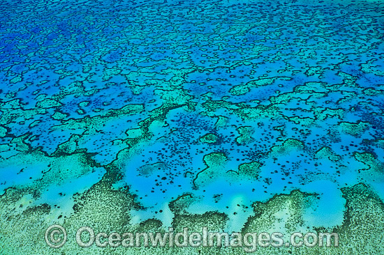 Aerial of Heron Island and Wistari Reef photo