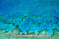 Aerial of Heron Island and Wistari Reef Photo - Gary Bell