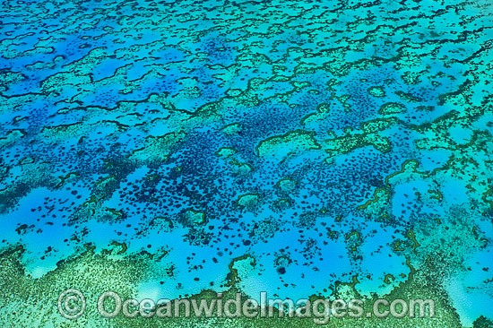 Heron Island and Wistari Reef photo