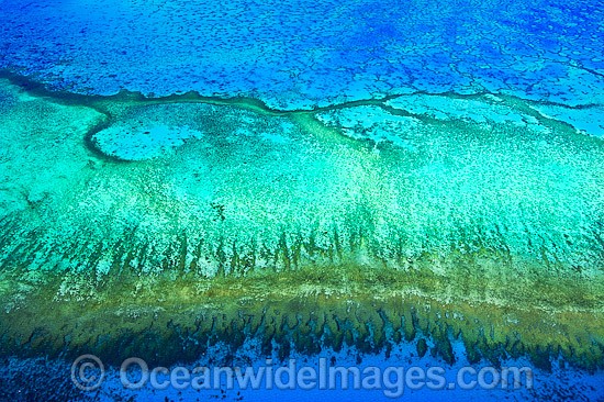 Aerial of Heron Island and Wistari Reef photo