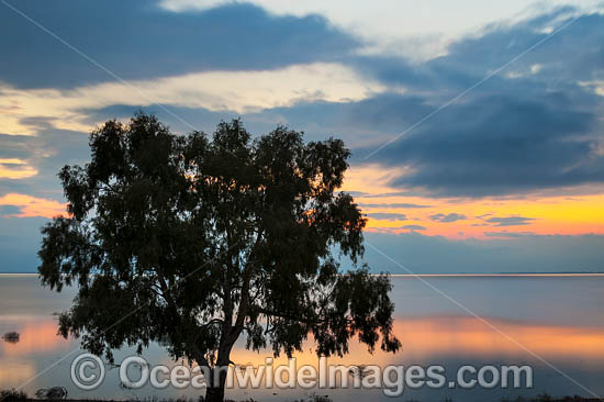 Lake Menindee at twilight photo