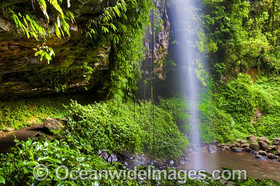 Crystal Shower Falls, situated in the Dorrigo World Heritage National Park, New South Wales, Australia. Photo - Gary Bell