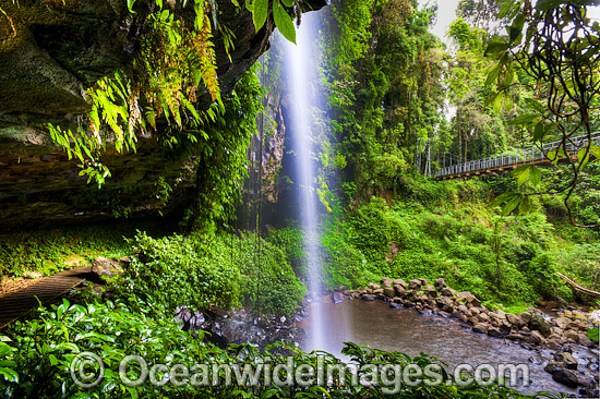 Crystal Shower Falls Dorrigo photo Crystal Shower Falls Dorrigo photo