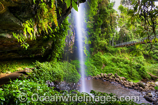 Crystal Shower Falls Dorrigo photo