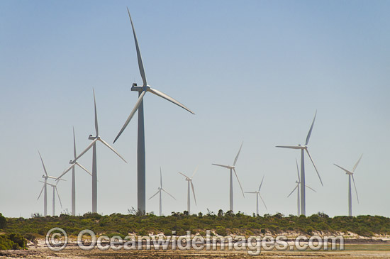 Wind Farm photo