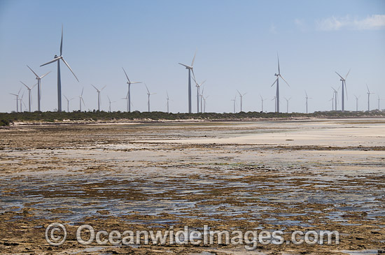 Wattle Point Wind Farm, near Edithburgh, York Peninsula, South Australia, Australia. Photo - Gary Bell