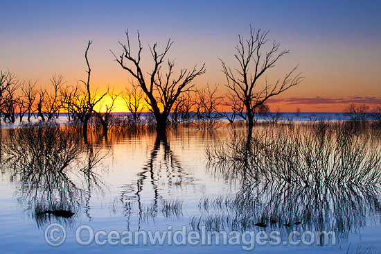 Lake Menindee at dawn sunrise photo