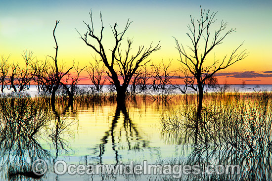 Lake Menindee at dawn sunrise photo