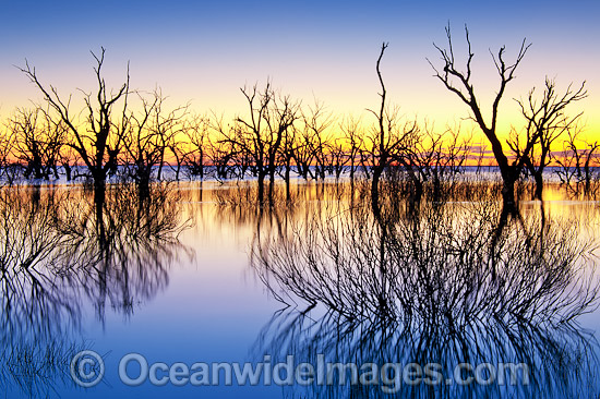 Lake Menindee at dawn sunrise photo