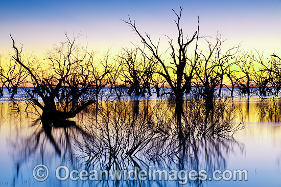 Lake Menindee at dawn sunrise photo