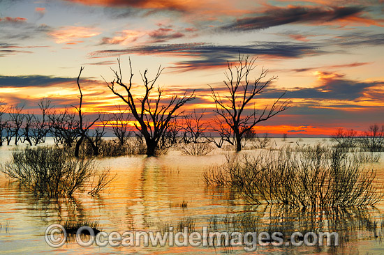 Lake Menindee at dawn sunrise photo Lake Menindee at dawn sunrise photo