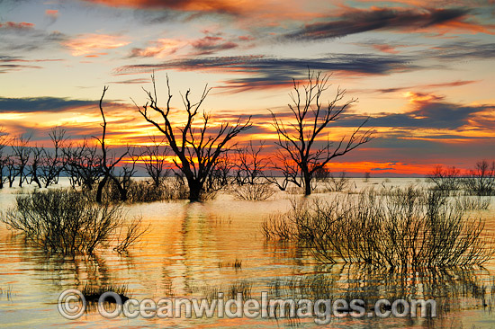 Lake Menindee at dawn sunrise photo