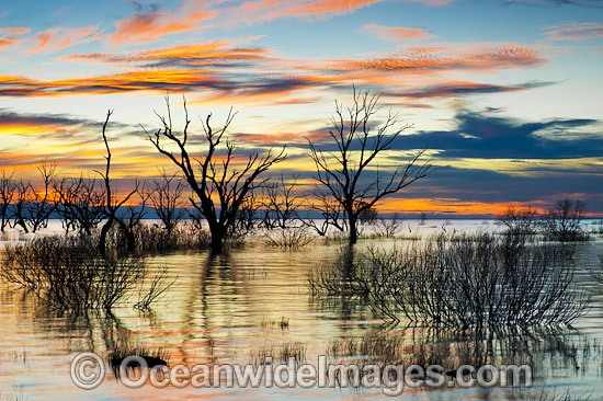 Lake Menindee at dawn sunrise photo