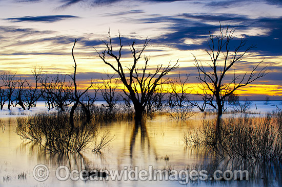 Lake Menindee at dawn sunrise photo