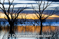 Lake Menindee at sunrise Photo - Gary Bell