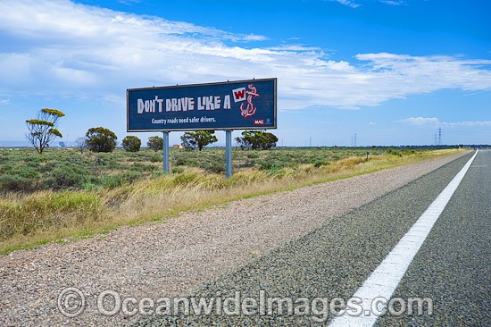 Road Safety billboard photo