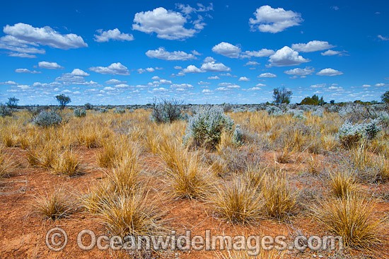 Outback desert landscape photo