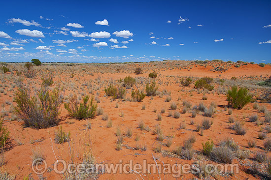 Outback desert landscape photo