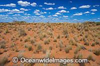 Outback Broken Hill Photo - Gary Bell