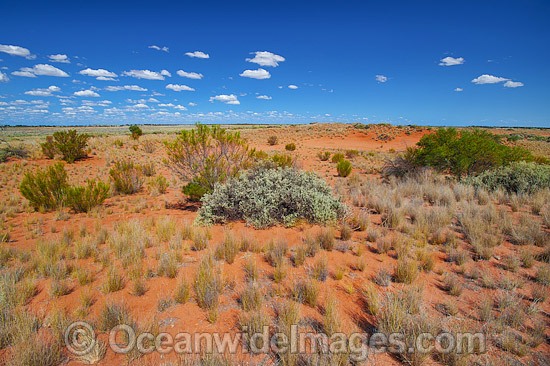 Outback desert landscape photo
