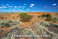 Outback Broken Hill Photo - Gary Bell