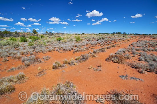 Desert track outback Australia photo