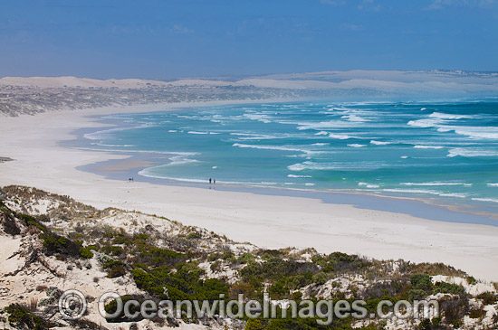 Coastal Seascape taken in the Coffin Bay National Park, showing strong coastal winds in the park. Eyre Peninsula, South Australia, Australia. Photo - Gary Bell