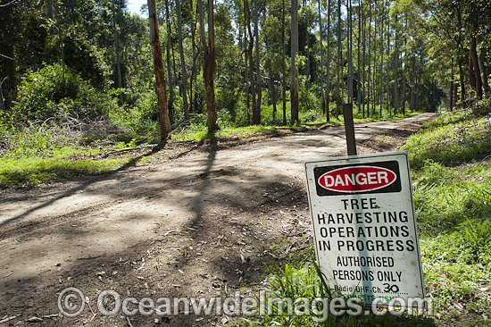 Forest Logging signage photo