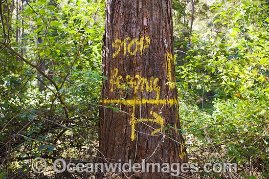State Forest Logging Australia photo
