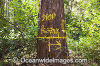 State Forest Logging Australia Photo - Gary Bell