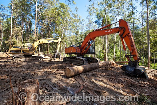 Logging machinery photo