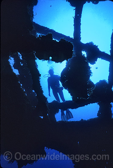 Scuba Diver exploring the historic SS Yongala shipwreck. Situated off Cape Bowling Green, near Townsville, Queensland, Australia. Photo - Gary Bell