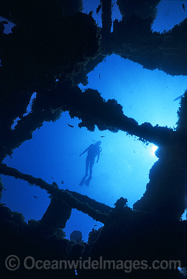 Yongala Shipwreck and Diver photo