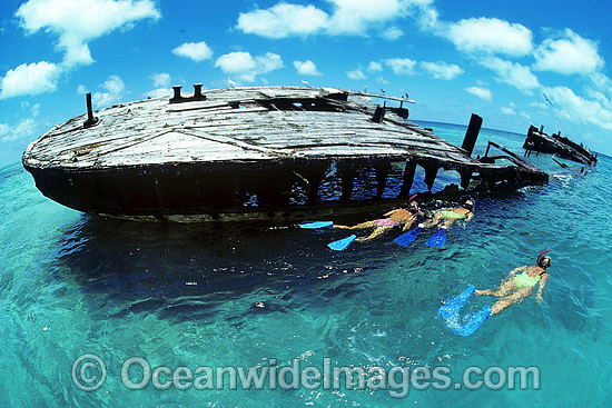 Snorkel Divers / Snorkelers exploring HMAS 'Protector' shipwreck. Heron Island, Great Barrier Reef, Queensland, Australia Photo - Gary Bell Snorkel Divers / Snorkelers exploring HMAS 'Protector' shipwreck. Heron Island, Great Barrier Reef, Queensland, Australia Photo - Gary Bell