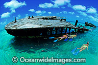 Protector shipwreck Heron Island Photo - Gary Bell