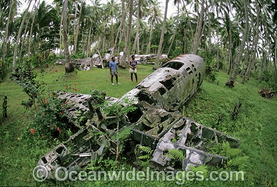 World War II Japanese plane wreck photo