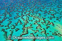 Wistari Reef Lagoon Photo - Gary Bell