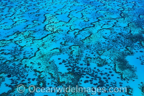 Aerial view showing detail of Wistari Reef Lagoon. Southern Great Barrier Reef, Queensland, Australia. Photo - Gary Bell
