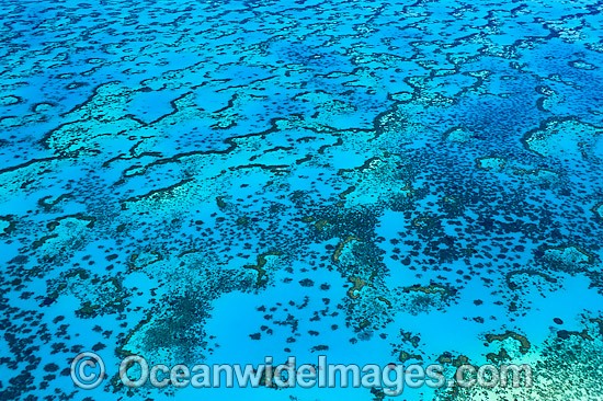 Wistari Reef Lagoon aerial photo