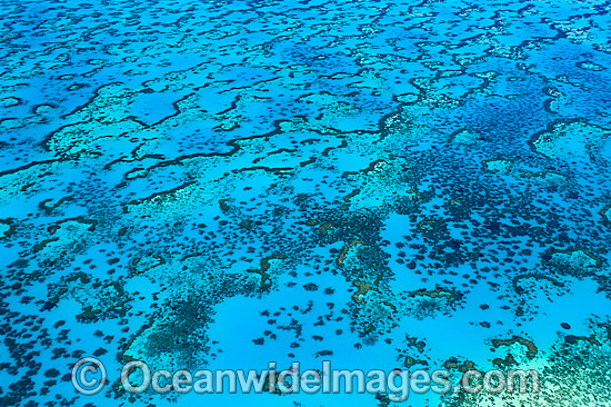 Wistari Reef Lagoon aerial photo