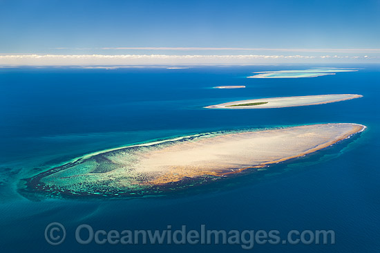 Polmaise Reef and Masthead Island photo