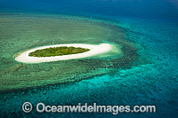 Erskine Island Reef Photo - Gary Bell