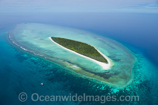 Masthead Island Reef photo