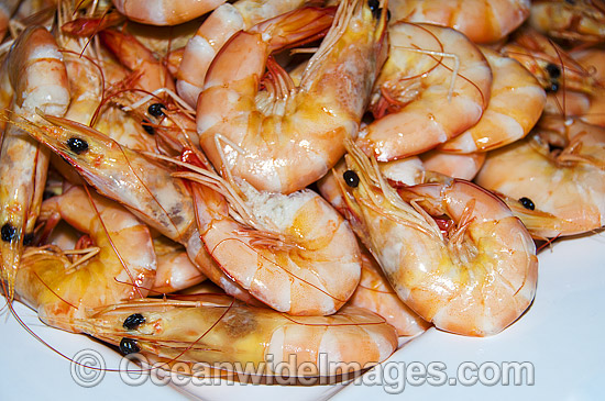 Prawn Seafood photo